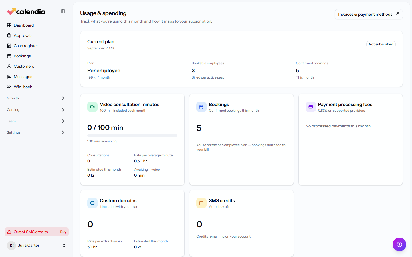 The Usage & spending dashboard showing plan details and usage breakdown.